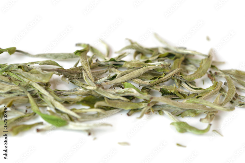 Chinese white tea leaf (Silver needle white tea) on white background - isolated Chinese white tea leaf (Silver needle white tea) on white background - isolated