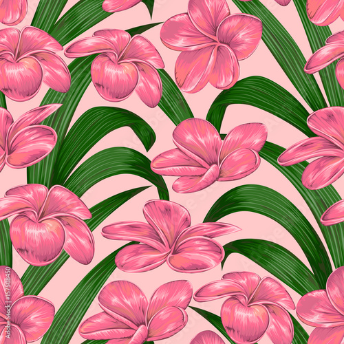 Seamless pattern with tropical pink plumeria flowers. Exotic floral botanical background. Vintage hand drawn vector illustration in watercolor style