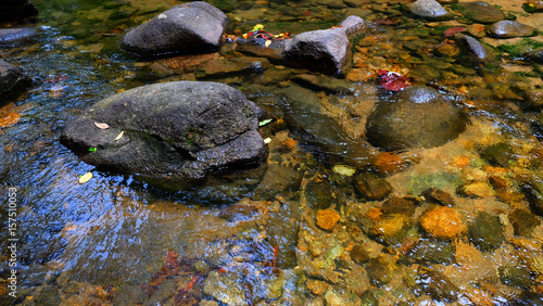 natural clean water in stream. waterfall.