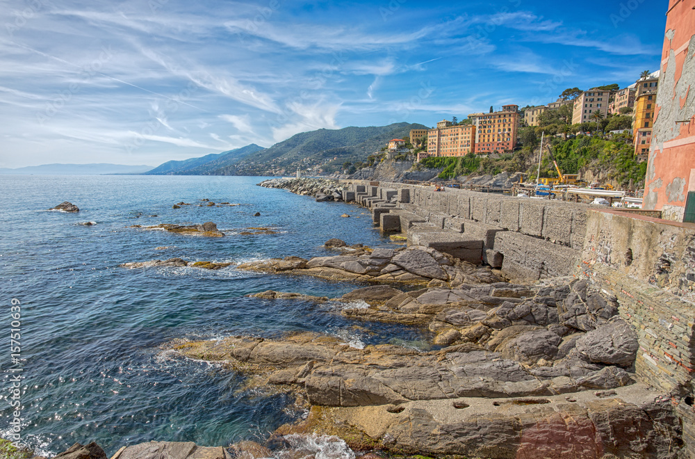 Panoramic view of city of Camogli , Genoa Province, Liguria, Mediterranean coast, Italy