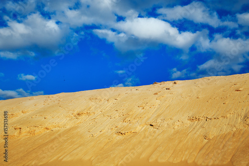 Yellow sand dunes.