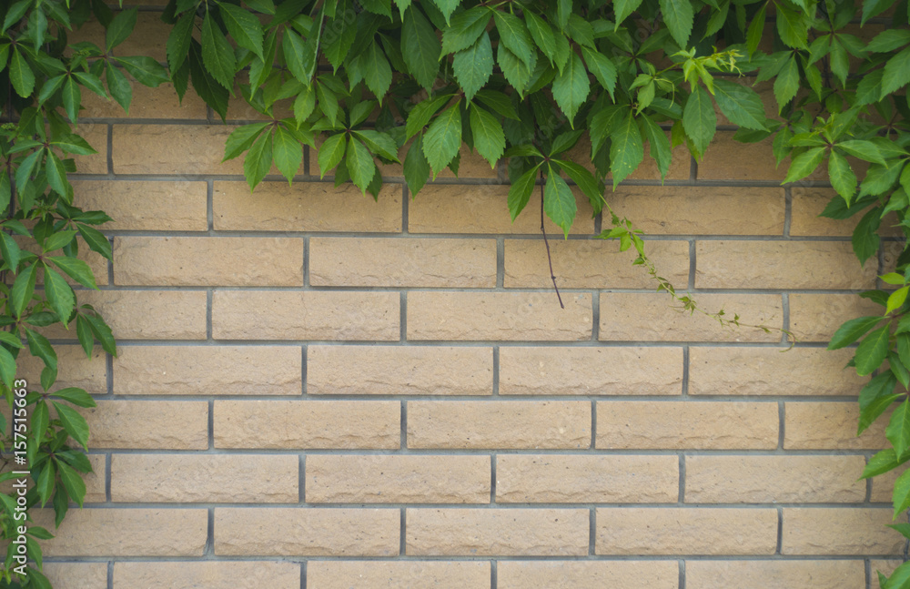 Background of brick stone wall texture surface Background of brick stone wall texture surface