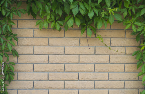Background of brick stone wall texture surface