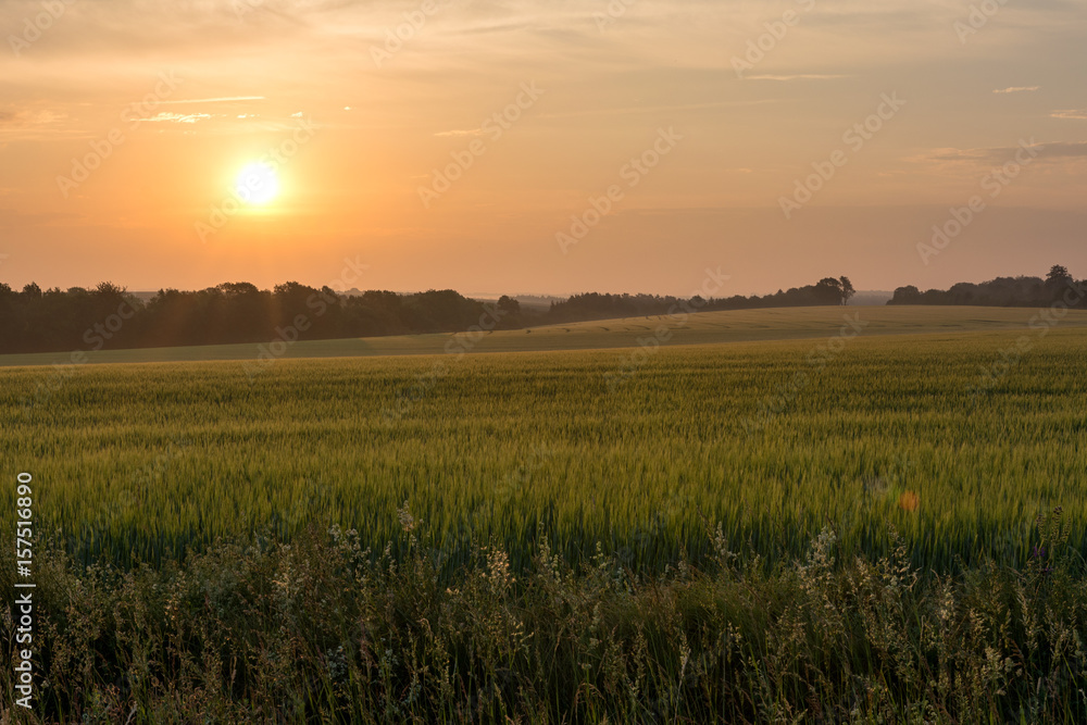French countryside. Typical landscape with view over the Lorraine wheat fields in dawn.