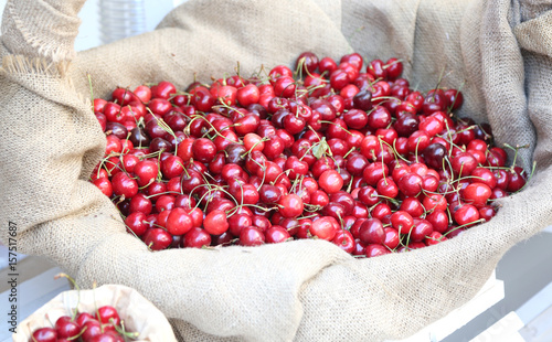 basket of red cherries photo