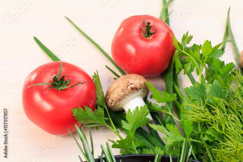 Set of fresh natural products with tomato, mushrooms, onion, dill and parsley