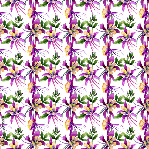 Wildflower orchid flower pattern in a watercolor style isolated.