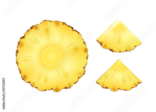 Vector Pineapple Slices