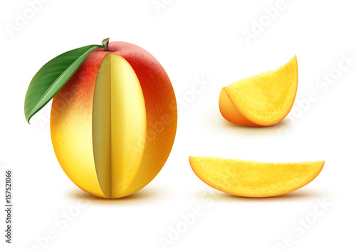 Vector Sliced mango