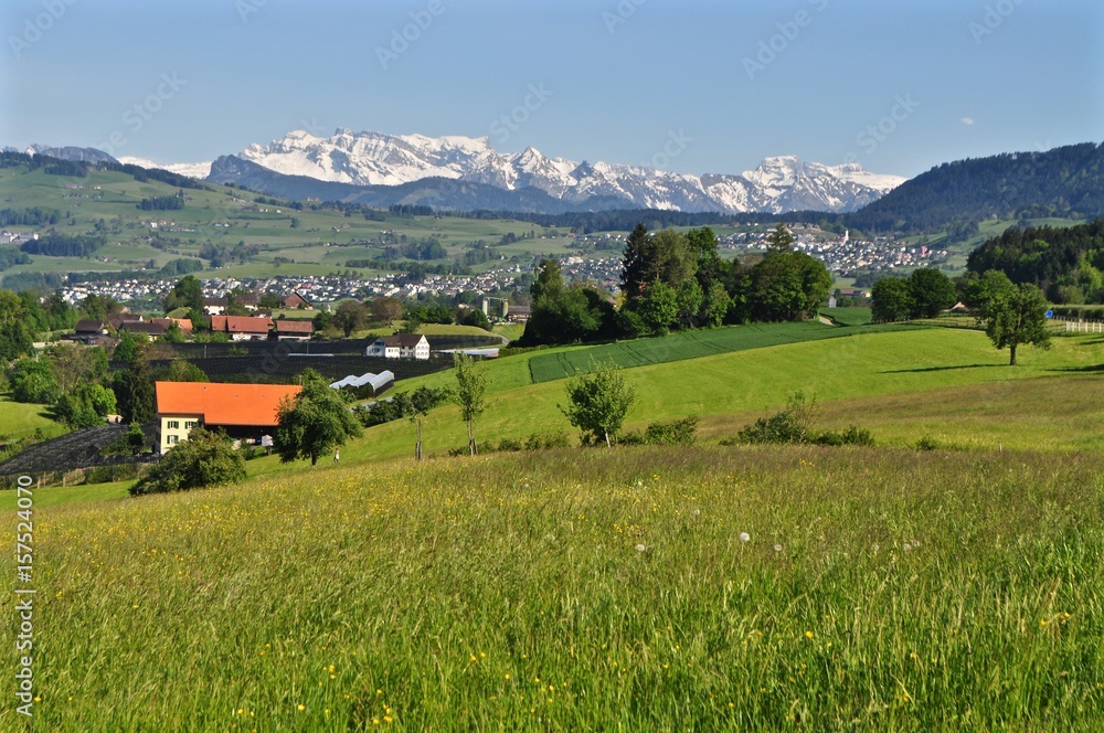 Wädenswil am Horgenberg mit Blick auf die verschneiten Glarner Alpen und Hoch-Ybrig