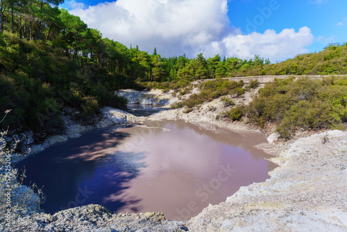 Devils Ink Pot crater pool at Wai-O-Tapu geothermal area   Rotorua   North Island of New Zealand