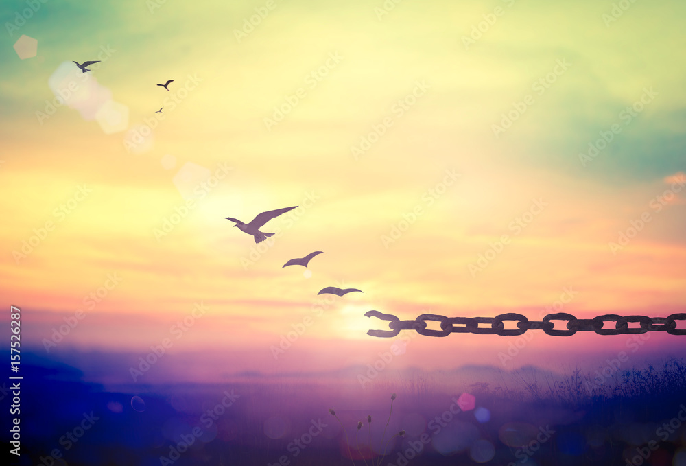 World environment day concept: Silhouette of bird flying and broken chains at autumn mountain sunset background - obrazy, fototapety, plakaty 