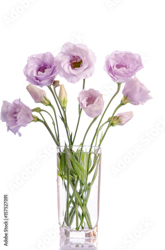 bunch of pale violet eustoma flowers in glass vase isolated on white