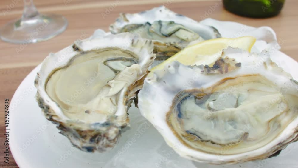 Fresh oysters with lemon on ice. The circular movement of the camera, very close up Fresh oysters with lemon on ice. The circular movement of the camera, very close up