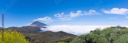Panorama du volcan Teide, Tenerife, Canaries
