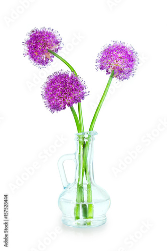 Three purple Allium flowers in a decorative bottle isolated on white background