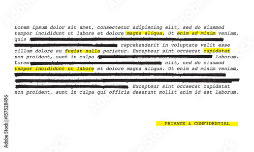 Vector Set of Highlights & Redactions