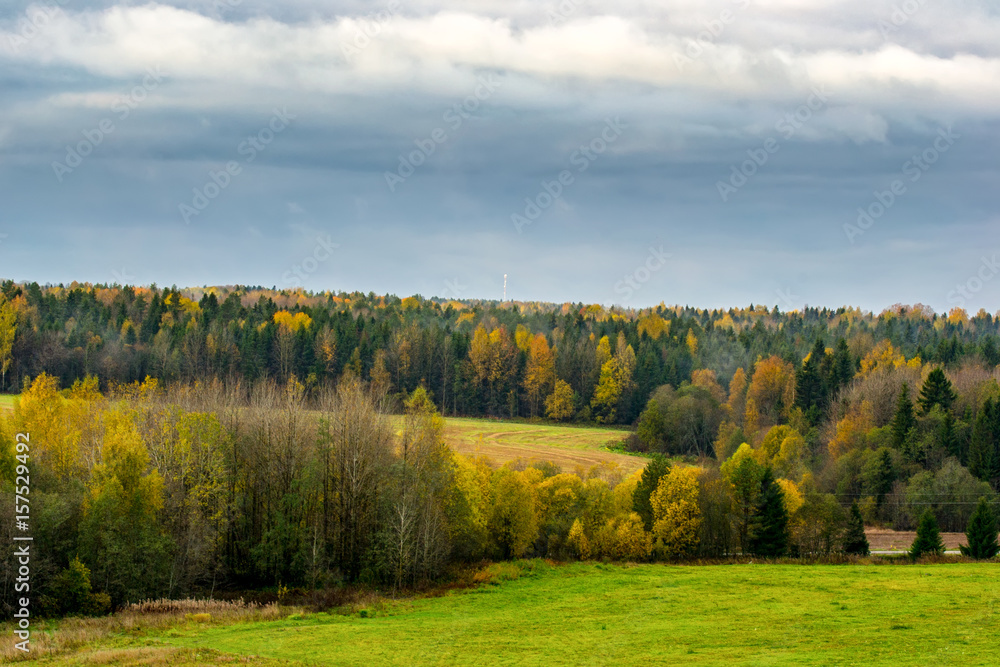Naklejka premium Autumn morning