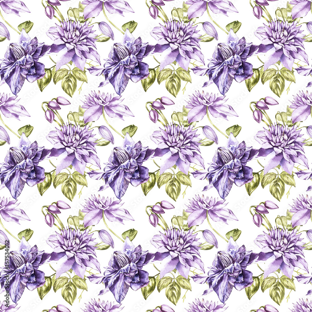 Watercolor illustrations of Clematic. Floral seamless pattern.
