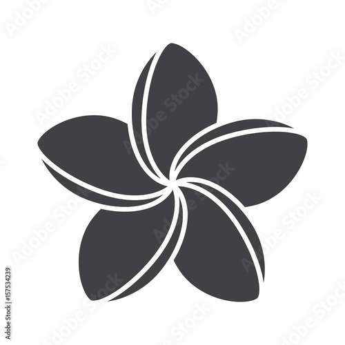 Spa salon plumeria flower glyph icon