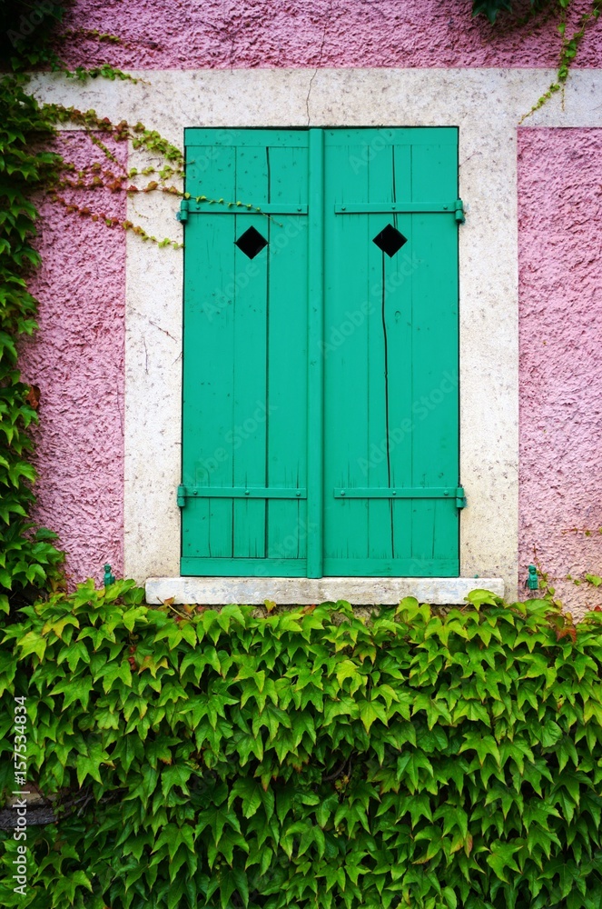 Green window shutters closed on a pink house wall with ivy