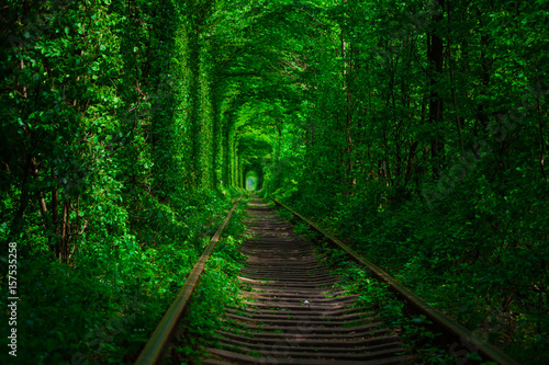 a railway in the spring forest tunnel of love