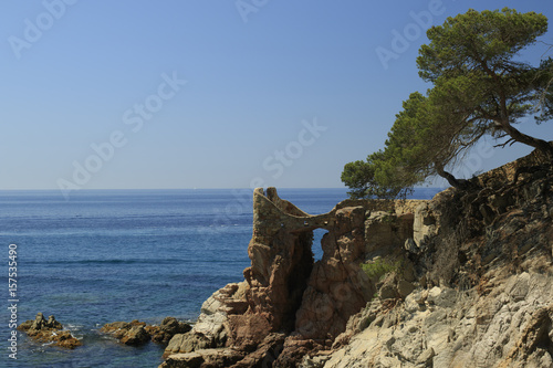 Rocky shore of Mediterranean Sea with two pines at the slope in Spain landscape