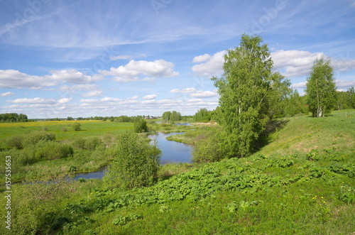 Landscape with river spring Sunny day