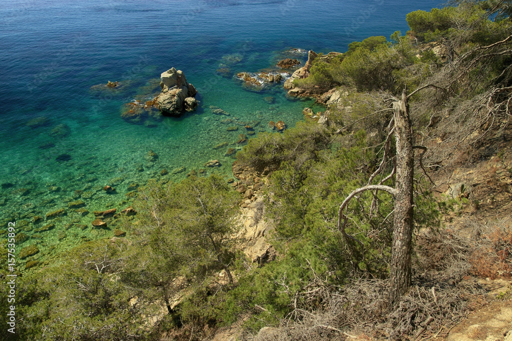Sea landscape with rocky shore, beautiful clean water and old pine at the slope in foreground in Spain