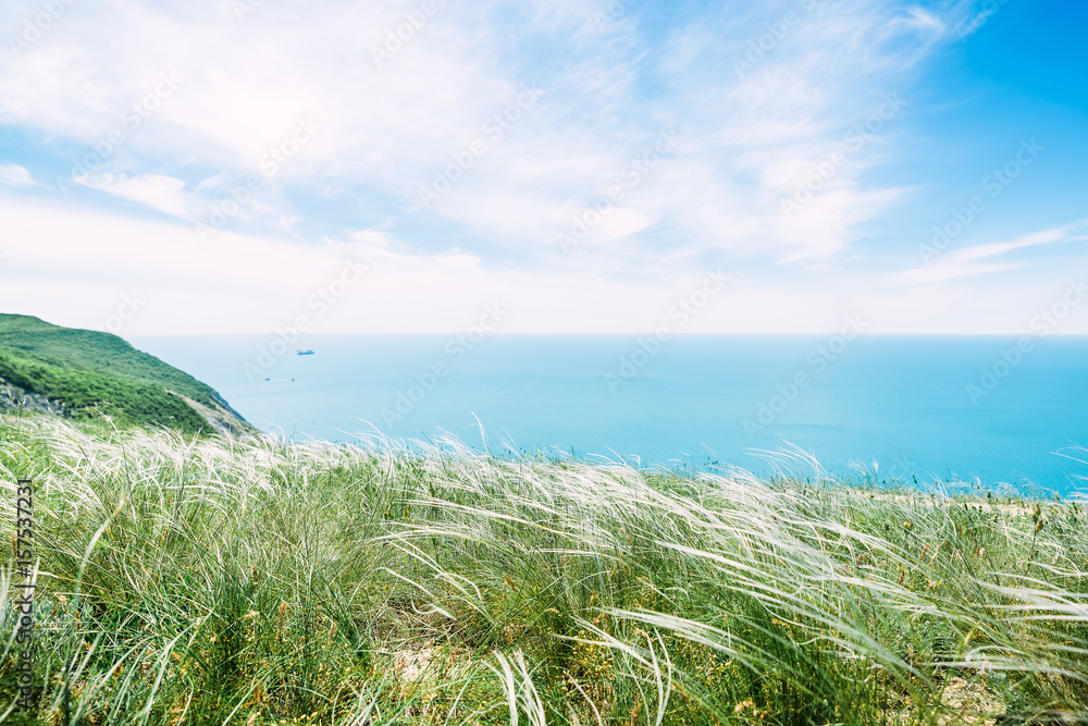 Coast with green grass, blue clear sea and sky.