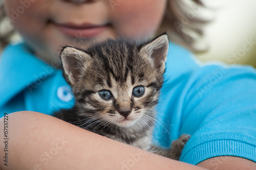 Fototapeta Naklejka Na Ścianę i Meble -  kitten on the arm of the boy outdoors