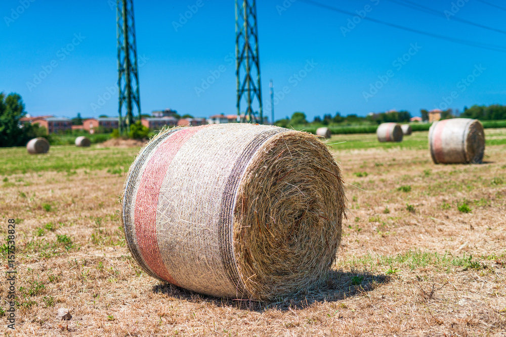 Hay Bales in spring - Tuscany, Italy Hay Bales in spring - Tuscany, Italy