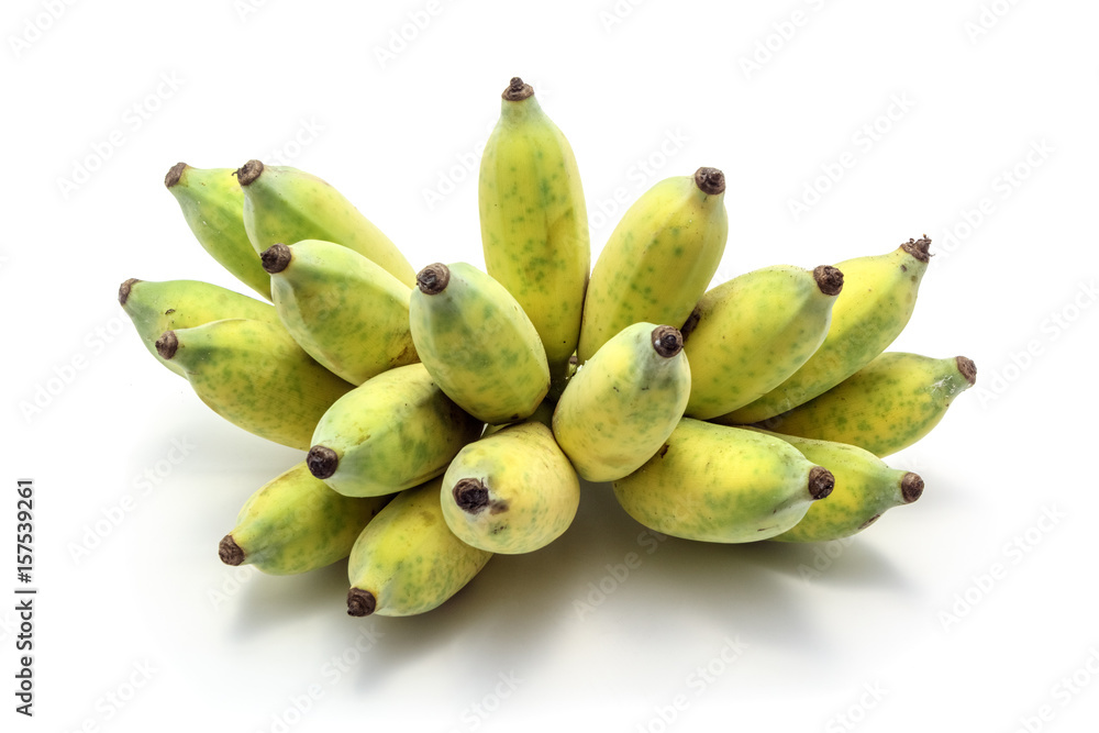 Cultivated banana Cultivated banana