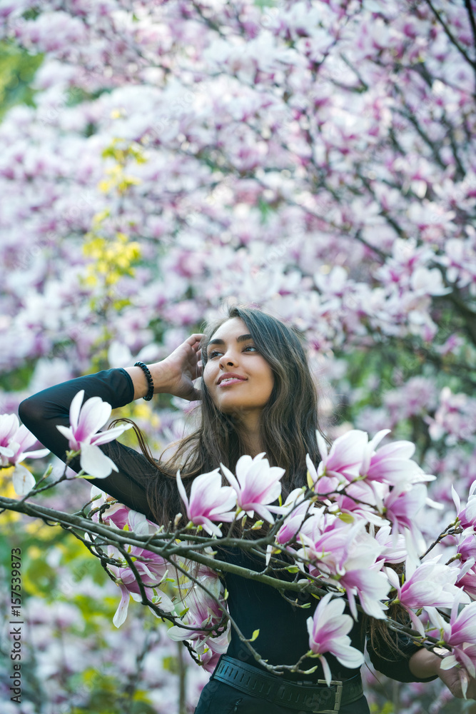 Fototapeta premium beautiful nature, spring or summer, magnolia