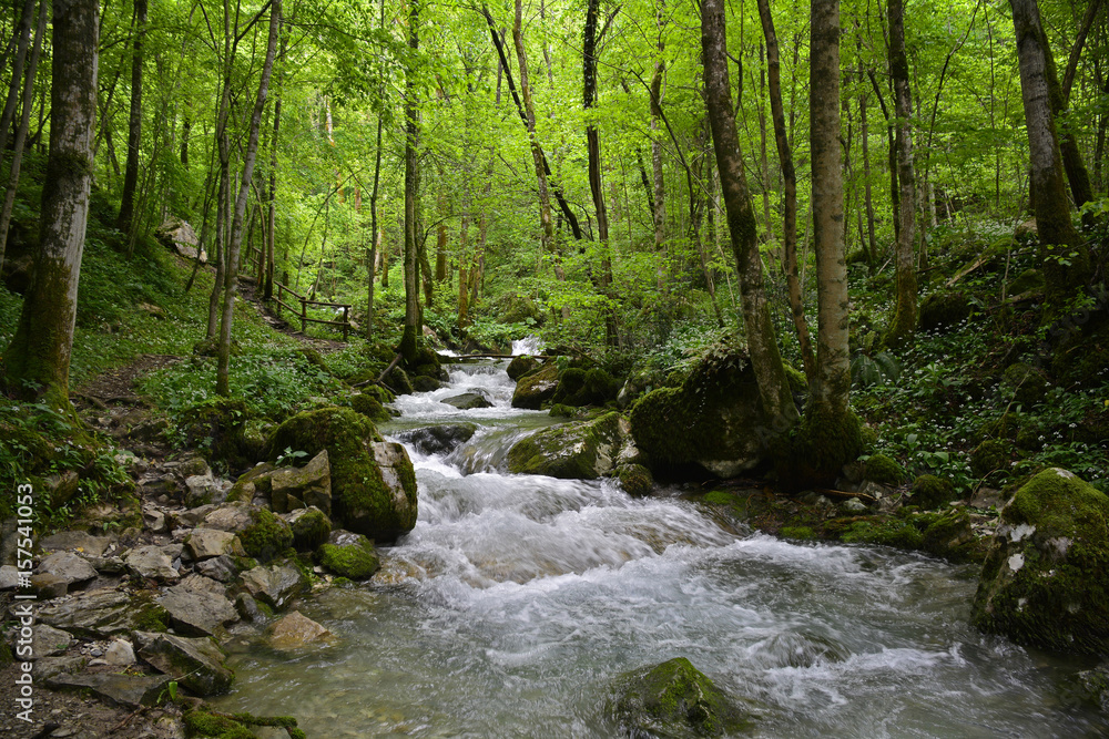 The Rio Pod Tamoran in late April in Friuli Venezia Giulia, north east Italy.
