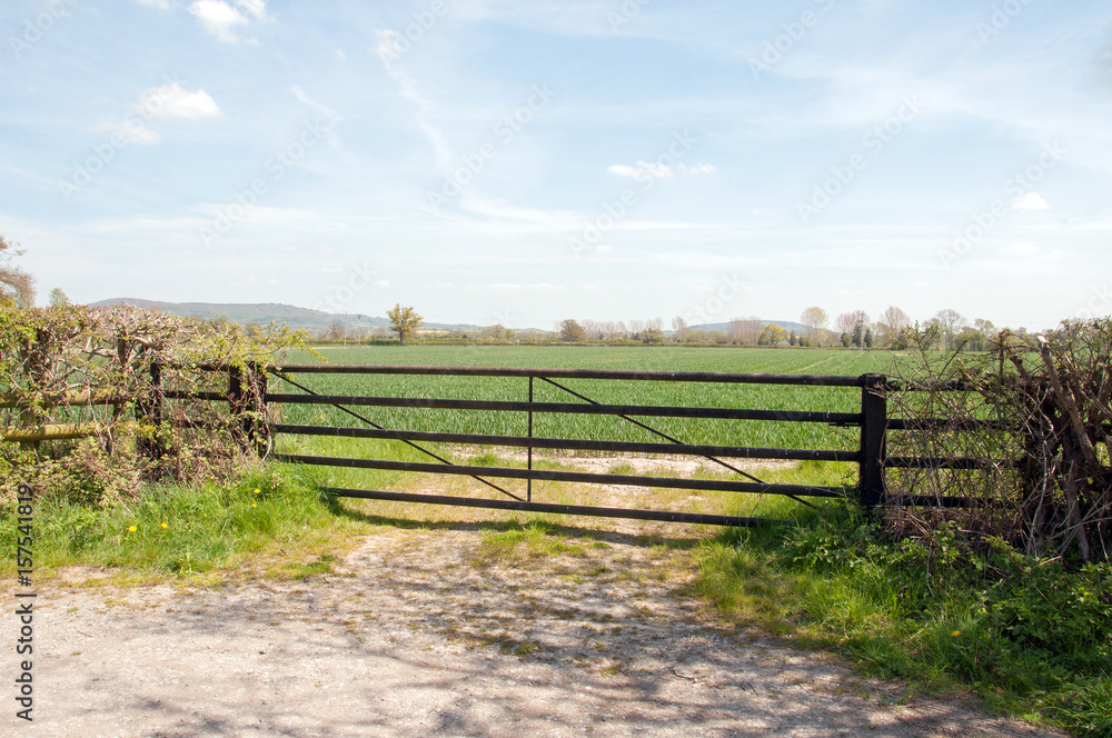 Springtime farm gate in the English countryside.