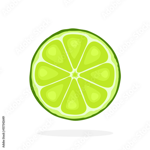 Vector illustration in flat style. Slice of lime. Healthy vegetarian food. Citrus fruits. Decoration for greeting cards, prints for clothes, posters, menus