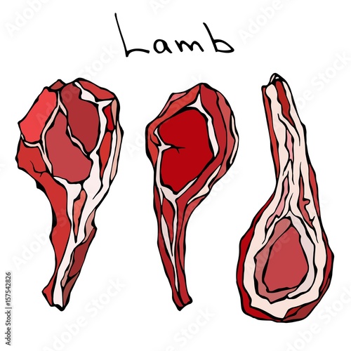 Raw Lamb Chop Ribs Set. Realistic Vector Illustration Isolated Hand Drawn Doodle or Cartoon Style Sketch. Fresh Meat Cuts.
