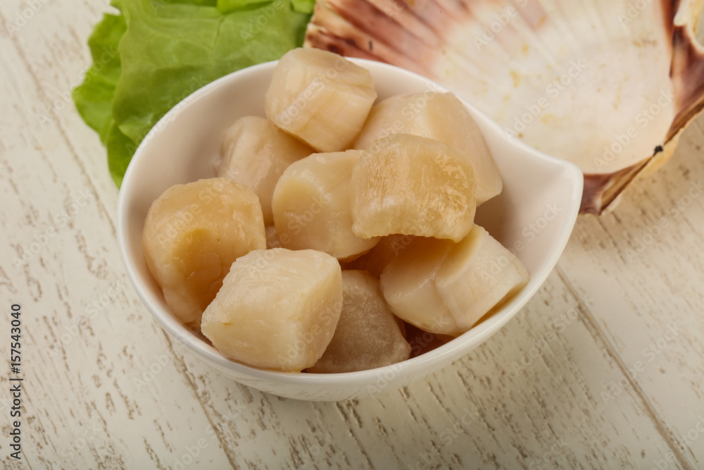 Raw scallops heap Raw scallops heap