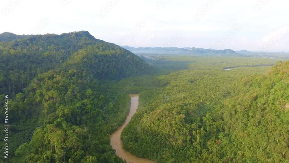 Aerial View: Flight over river mangrove forest, Aerial View: Flight over river mangrove forest,