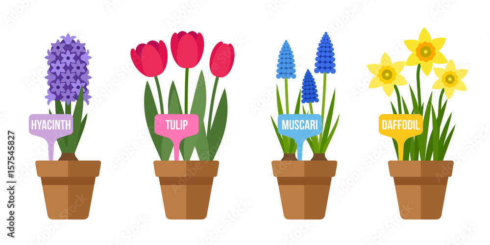 Spring flowers with labels Spring flowers with labels