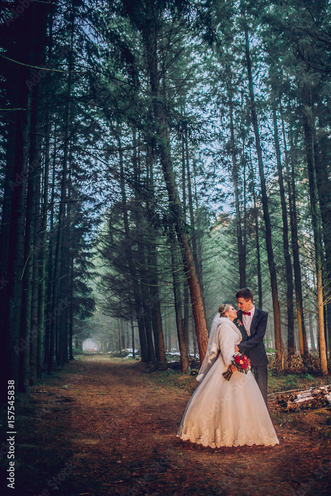 Bride and groom in a park kissing.couple newlyweds bride and groom at a wedding in nature green forest are kissing photo portrait.Wedding Couple Bride and groom in a park kissing.couple newlyweds bride and groom at a wedding in nature green forest are kissing photo portrait.Wedding Couple