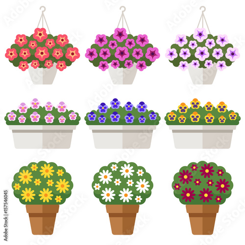 Outdoor potted flowers