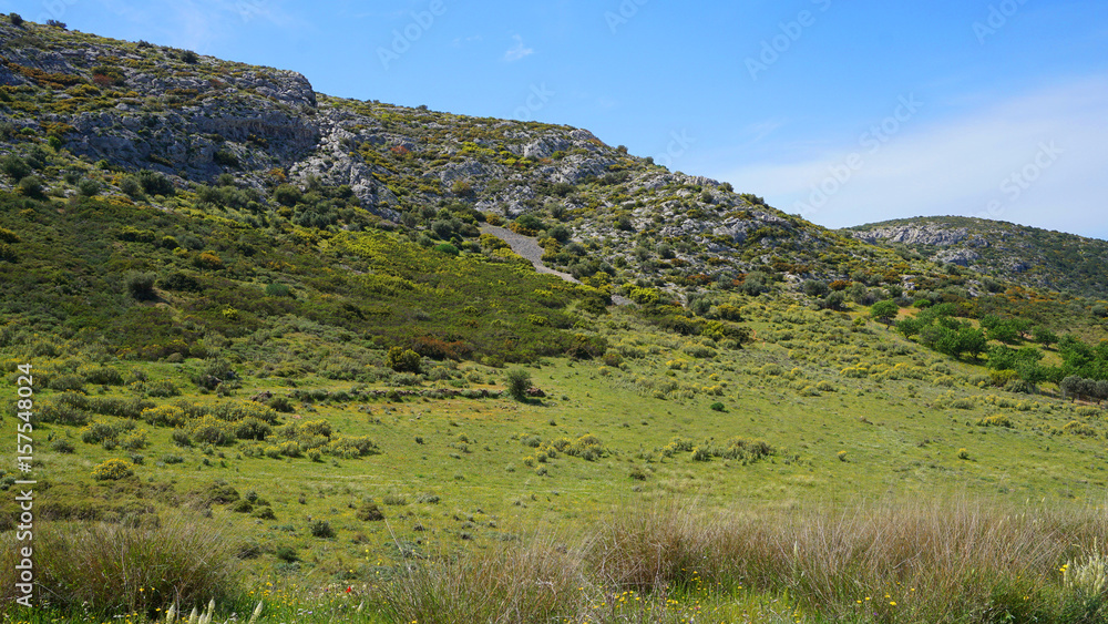 Spring photo of Hamolia area in Porto Rafti, Mesogeia, Attica, Greece