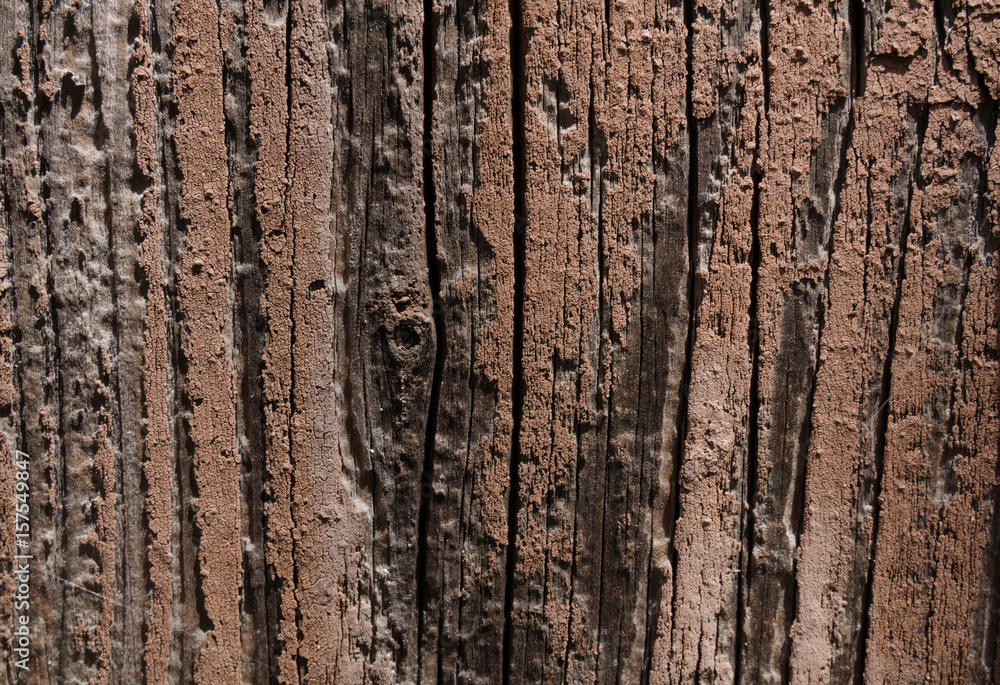 Obraz premium Wood texture brown color background