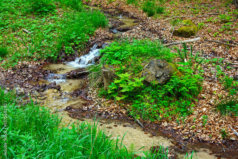Obraz premium A small stream flowing in nature