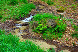 A small stream flowing in nature