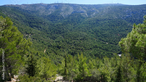Fototapeta Naklejka Na Ścianę i Meble -  Photo of Kessariani area in Hymetus mountain, Attica, Greece