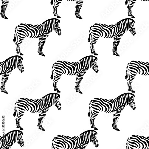 Seamless background with zebras.
