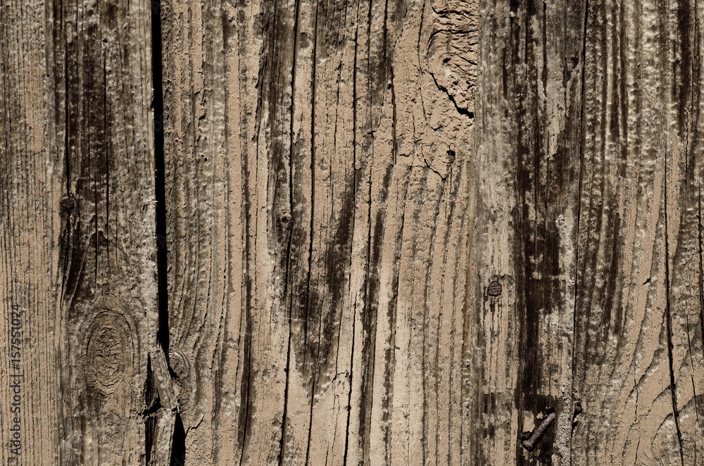 Gray color of a wooden texture. Abstract background